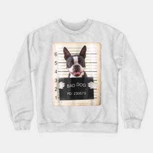 Boston Terrier Bad Dog Crewneck Sweatshirt